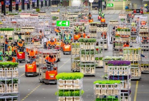 Logistiek verdeling Aalsmeer LO bloemen mei 2019.jpg